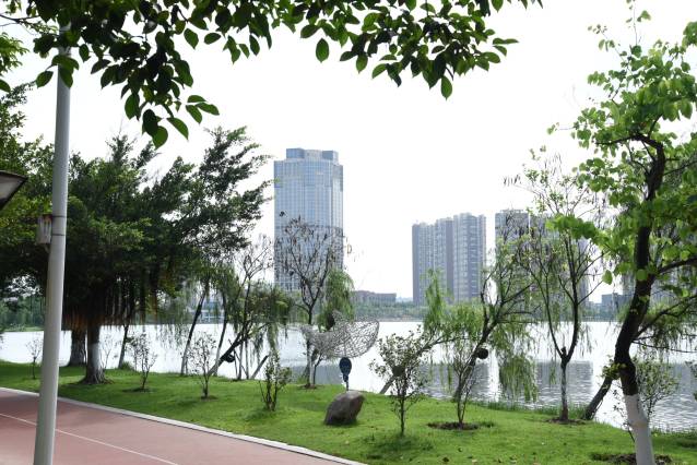 钦州天骄国际酒店图片