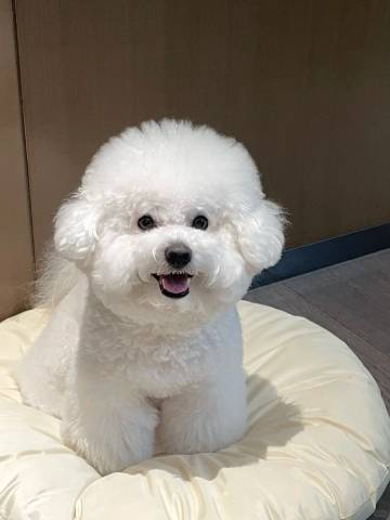 宁国梵舍·‌Van StayHaven亲子度假民宿(皖南川藏线板桥店)图片