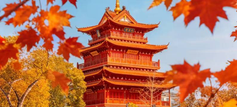 衢州•欣颐MYSTICWOLD•MOMWMYPOP•古城墙畔酒店(水亭门国金中心店)图片