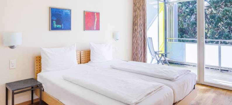 因特拉肯哈皮玛格度假村(Hapimag Ferienwohnungen Interlaken)图片