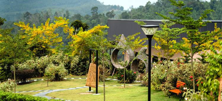 Monkeys Canopy Resort图片