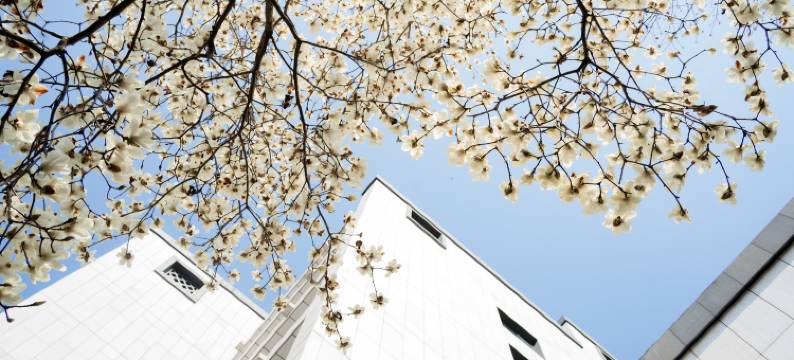 黄山昱城皇冠假日酒店图片