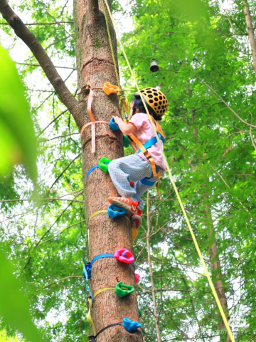 峨眉山乌兰度假酒店图片
