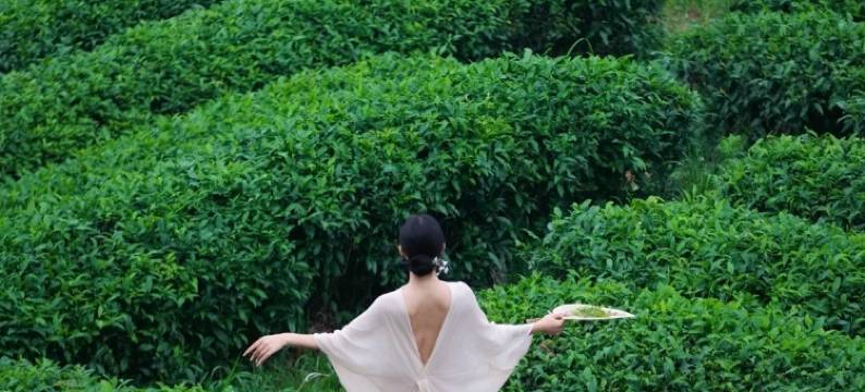 秋兮·aki星空温泉民宿(安吉云上草原店)图片