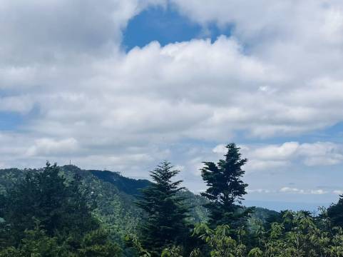 庐山畔山隐舍度假酒店(庐山牯岭镇小天池店)图片