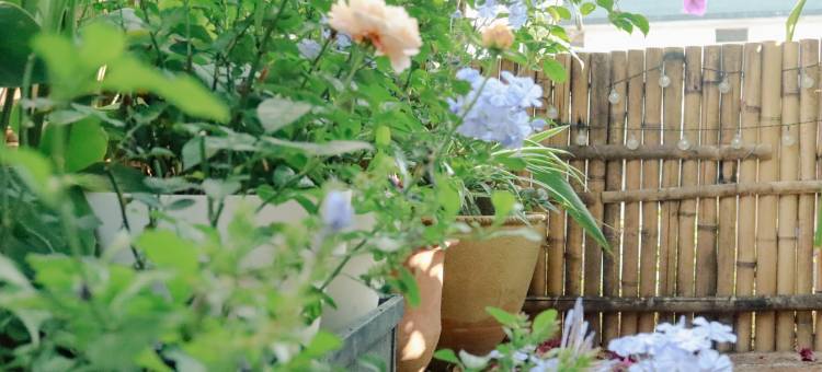 西双版纳八南那青年旅舍图片