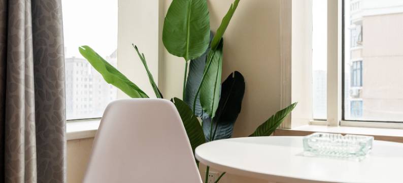 大连星海广场英悦精品民宿图片