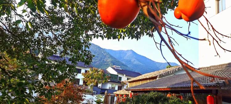 安吉雅叙苑民宿图片