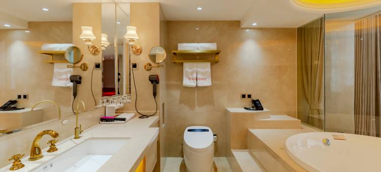 合肥蒂斯蓝顿国际酒店图片