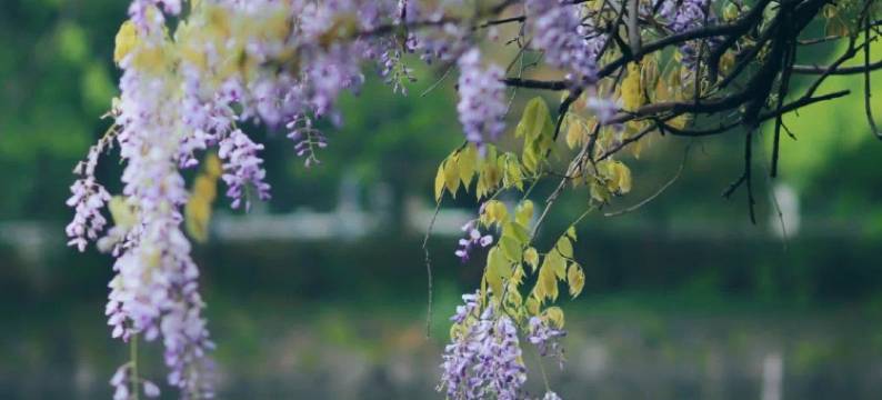 浙大华家池华凯酒店图片