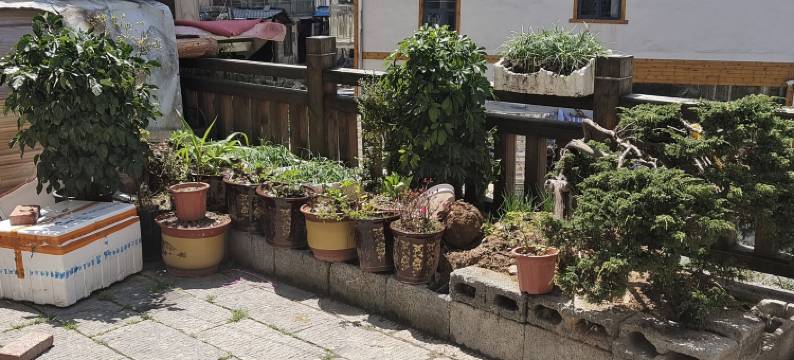 神农架酒缘居民宿图片