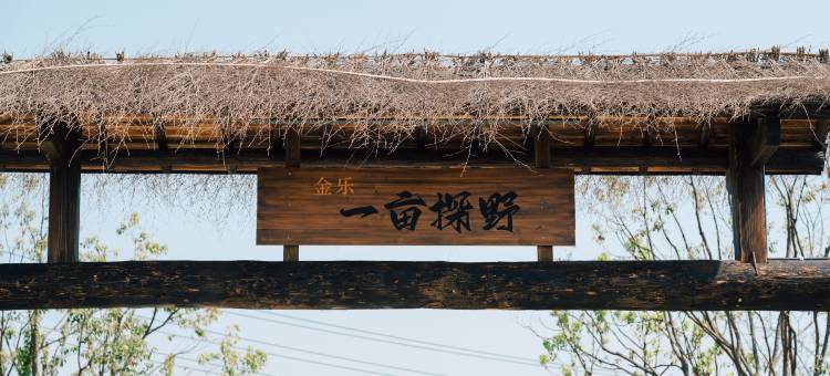 金乐一亩探野露营基地图片