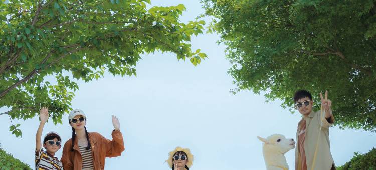 长沙梅溪湖金茂豪华精选酒店图片