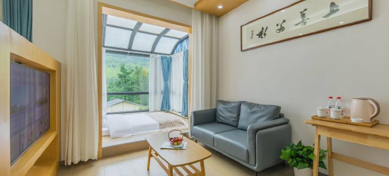 若灵家·溯溪星空泳池亲子度假galaxy美宿(余村两山店)图片