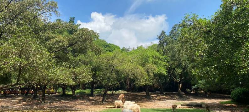 喆非酒店(广州南站番禺长隆店)图片