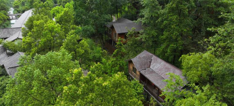 楠溪江百丈瀑精品民宿图片