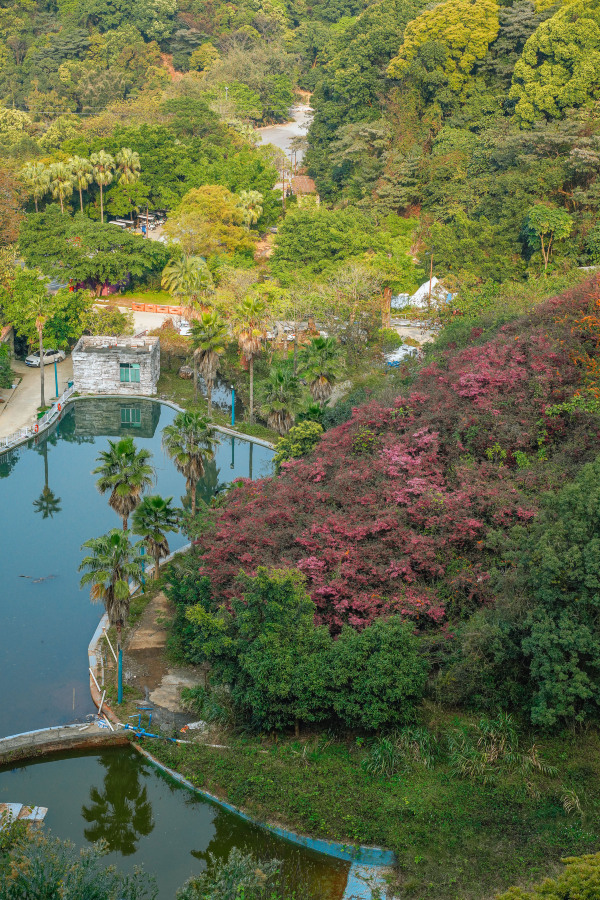 Guangzhou Valley Xiyue Zhuang Boutique HomestayHotel Overview