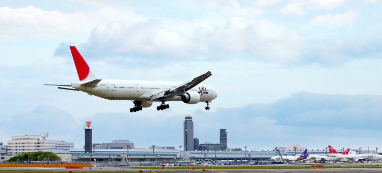 成田国际花园酒店(International Garden Hotel Narita)图片