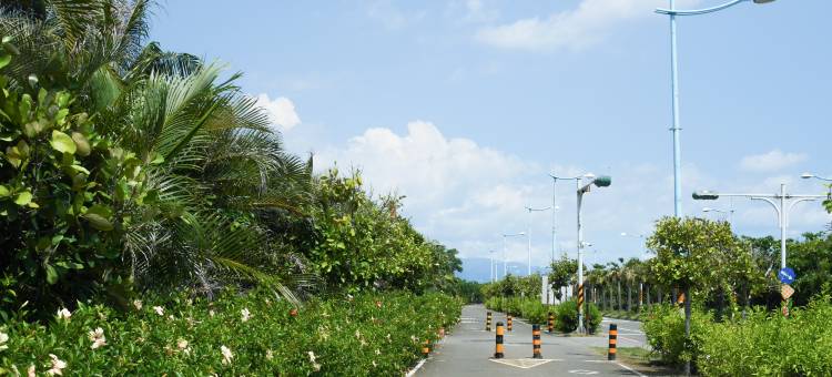 緩慢大鵬灣图片