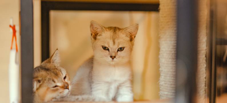 爱和华民宿(扬州东关街店)图片