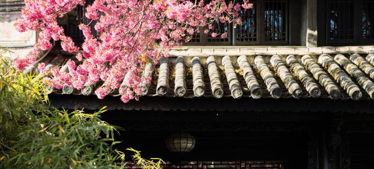 大理古城层林酒店图片