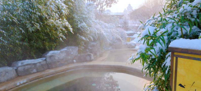 大连金石滩绿发温泉假日酒店图片
