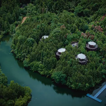 齐云山自由家·树屋世界图片