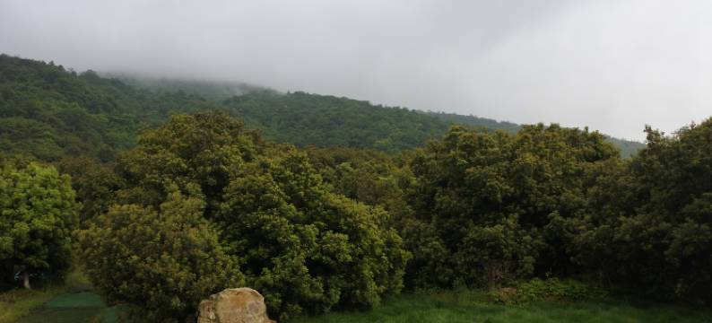 宜兴九如山舍(竹海景区店)图片