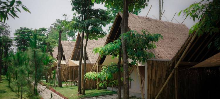 Cemoro Jati Glamping and Resort Lido图片