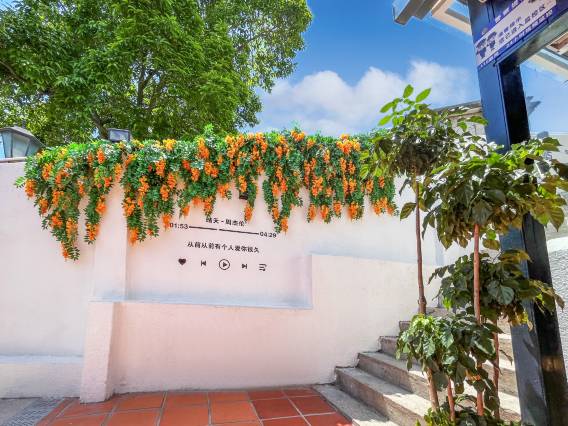 鼓浪屿木香花海景别墅(三丘田码头店)图片