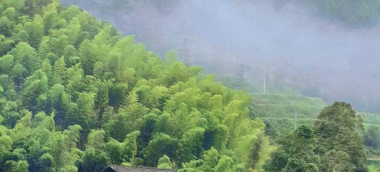 竹韵山居民宿(榕江大利侗寨店)图片