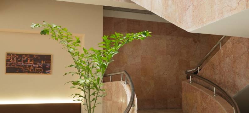 临海木兮木庭院(紫阳街台州府城店)图片