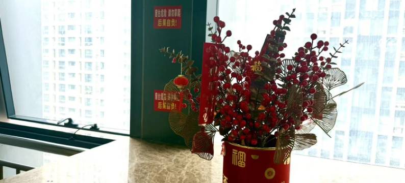 南京柒语精品民宿(河西万达店)图片