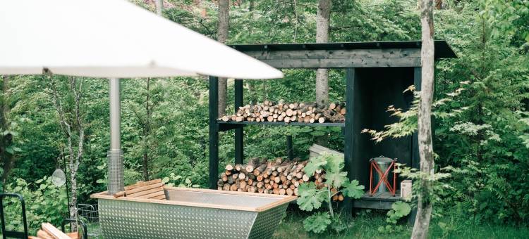 轻井泽森四季度假别墅酒店(Karuizawa Forest Seasons Villa)图片