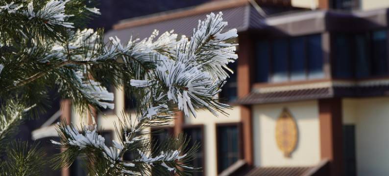 北京白河湾朝林松源酒店图片