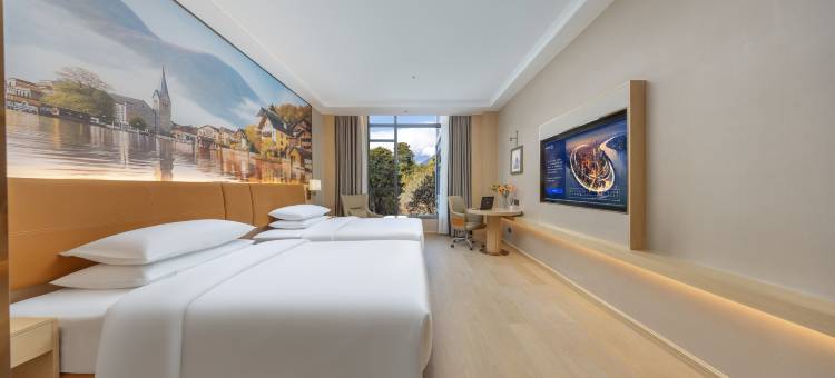 维也纳酒店(林芝波密店)图片