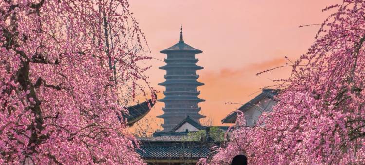 默涵MO·溯溪垂钓亲子度假美宿(婺源抱玉塔店)图片