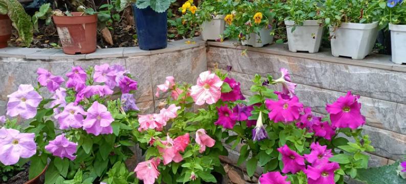 维也纳3好酒店(汕头澄海汽车总站店)图片