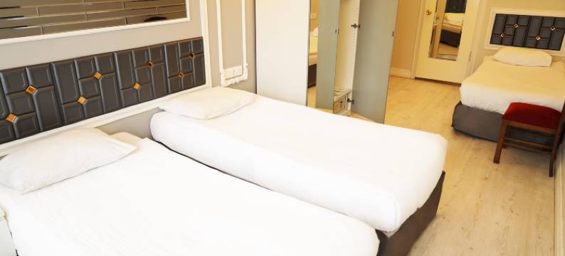 巴克夸塔山机场商务酒店(Bakirkoy Tashan Business & Airport Hotel)图片