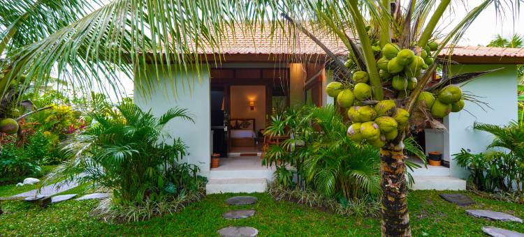 绿色椰子小屋(Green Coconut Cottage Ubud)图片