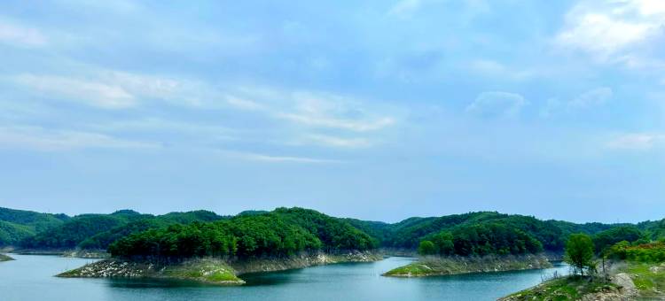 丹江口盛景怡家酒店(老广场店)图片