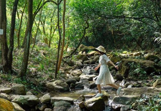 Habitat Creek VillaHotel Overview