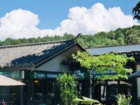 青禾·苍山度假别墅(苍山风景区店)