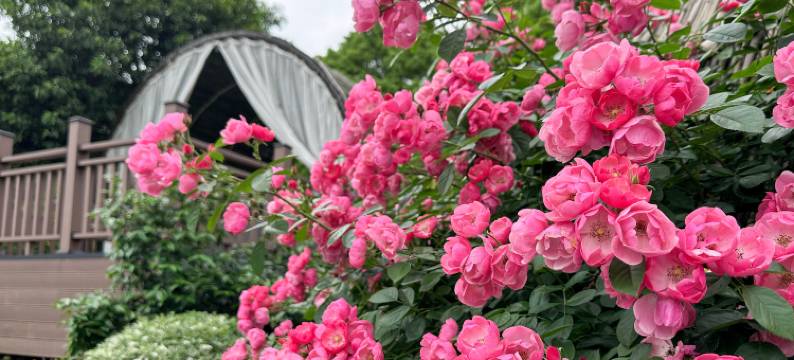 郴州天堂温泉度假酒店图片