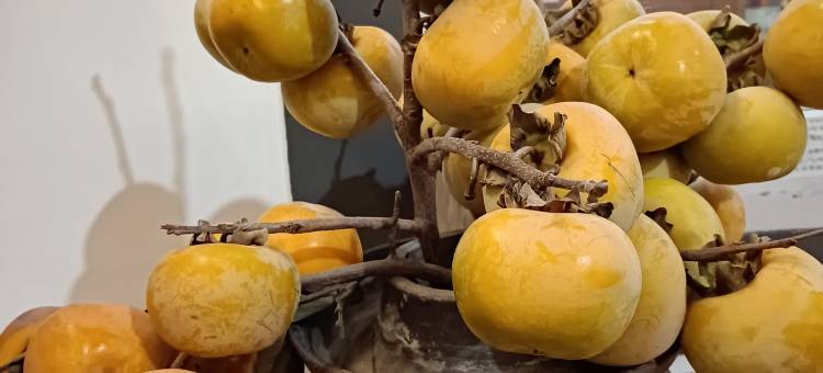 恭城江全楼民宿图片