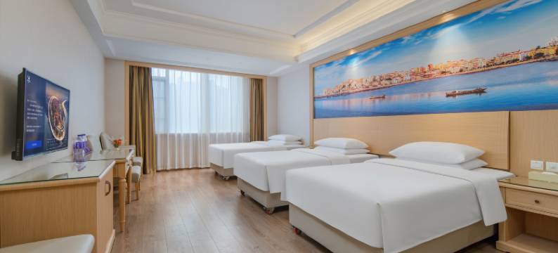 维也纳酒店(深圳龙珠店)图片