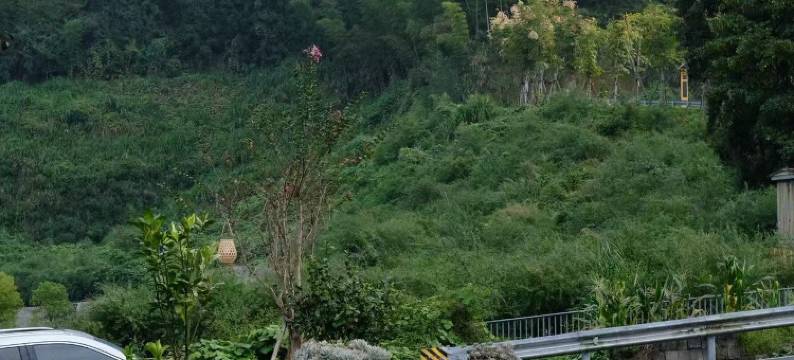 云和梯田艺杰民宿图片