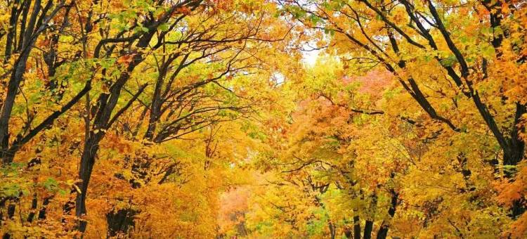 如家精选酒店(密山火车站百货大楼店)图片