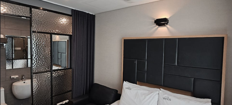 首尔瓦莫斯酒店(Seoul Vamos Hotel)图片
