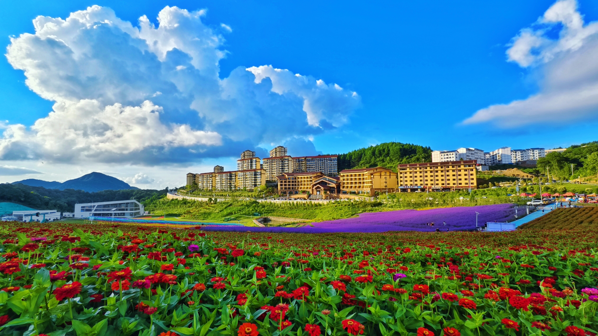 Lvcongpo Holiday HotelOver view